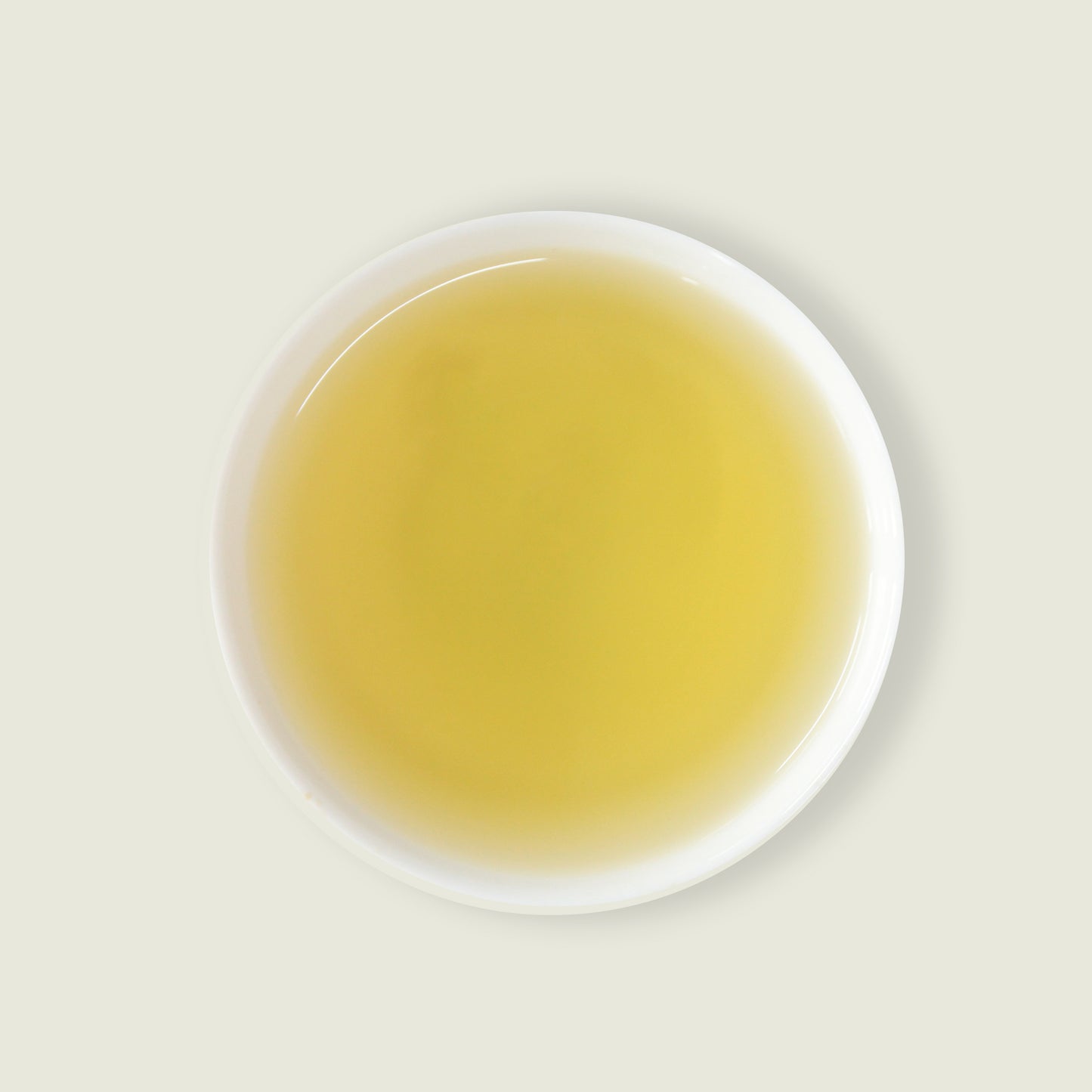 Gingembre Tulsi